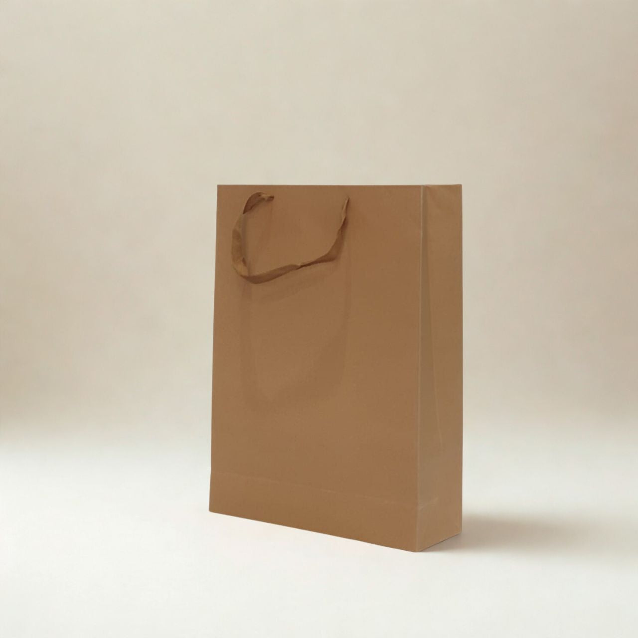 Large Brown Kraft Paper Gift Bag with Twisted Paper Handles