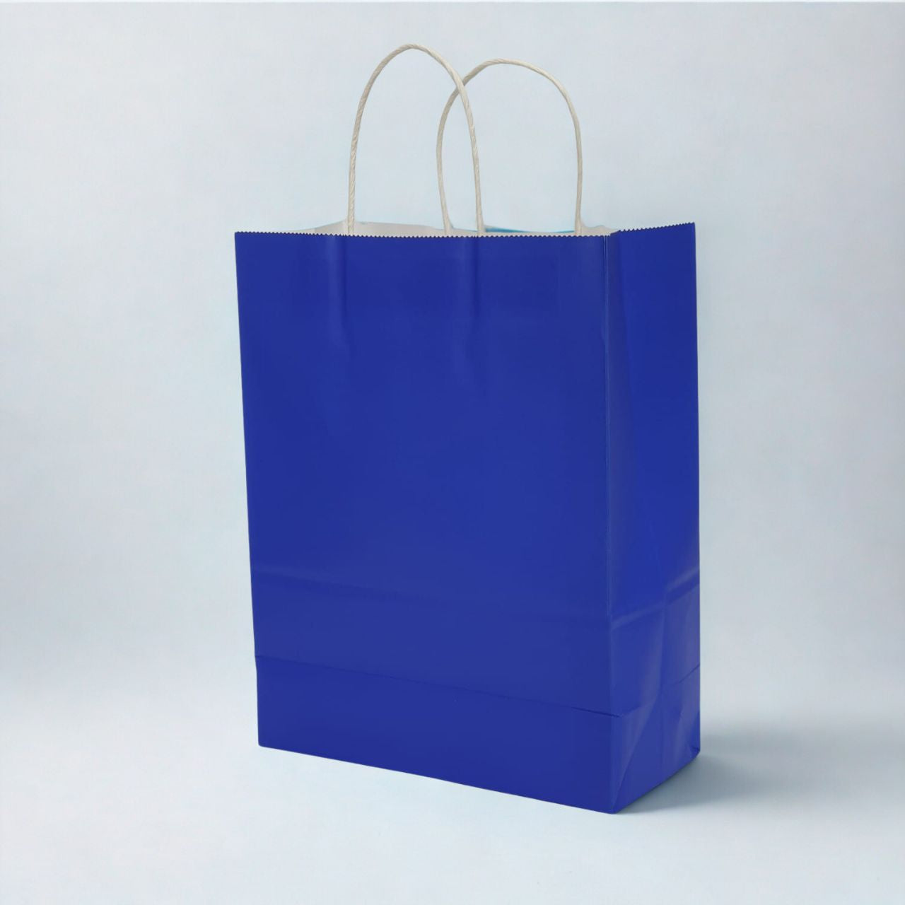 Medium Dark Blue Kraft Paper Gift Bag with Twisted Paper Handles