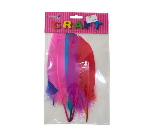 Assorted Colorful Craft Feathers – DIY Decoration Pack