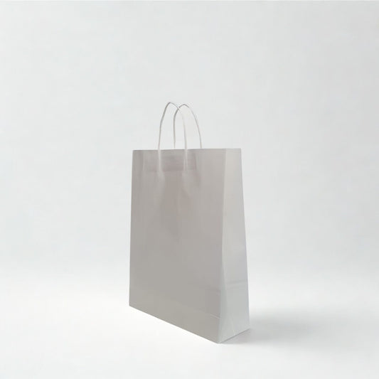 Medium white kraft paper bag with twisted paper handles for retail and gifts