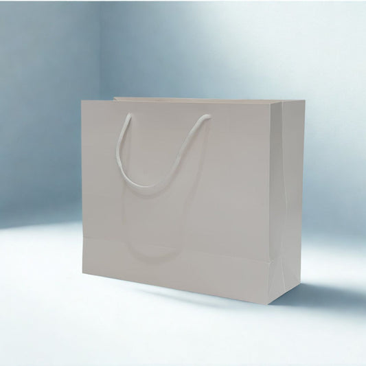 White Glossy Kraft Paper Gift Bag with Rope Handles (23 × 18 × 10 cm)