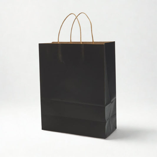 Medium black kraft paper gift bag with twisted paper handles for gifts and retail