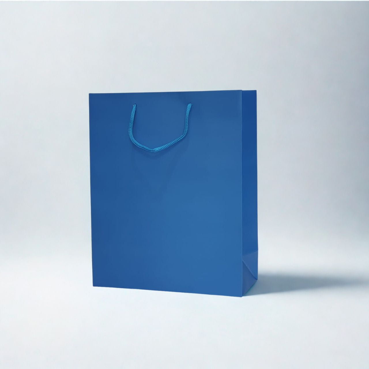 Medium Blue Paper Gift Bag with Matching Rope Handles