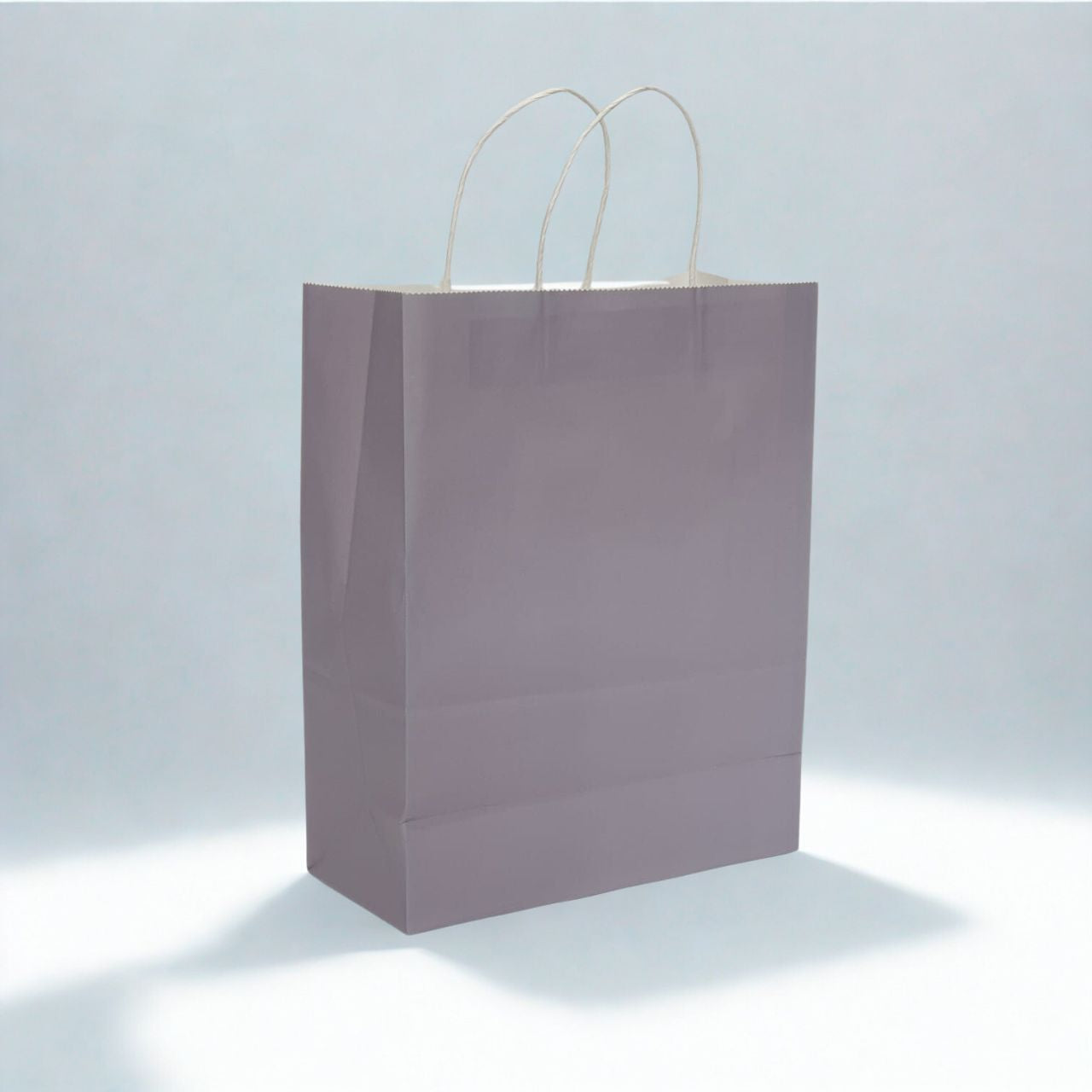 Medium Gray Kraft Paper Gift Bag with Twisted Paper Handles