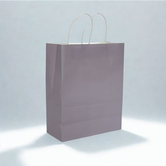 Medium Gray Kraft Paper Gift Bag with Twisted Paper Handles