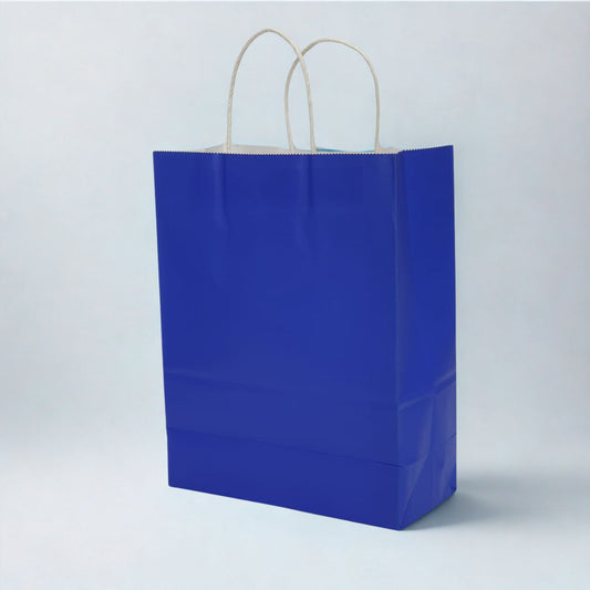Medium Dark Blue Kraft Paper Gift Bag with Twisted Paper Handles