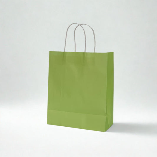 B5 Size Green Kraft Paper Gift Bag with White Twisted Paper Handles