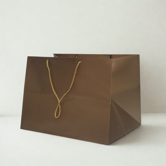 XL Matte Chocolate Brown Euro Tote Paper Gift Bag with Rope Handles